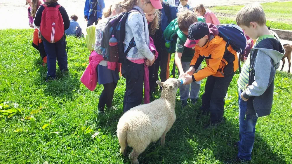 Exkurze na farmě